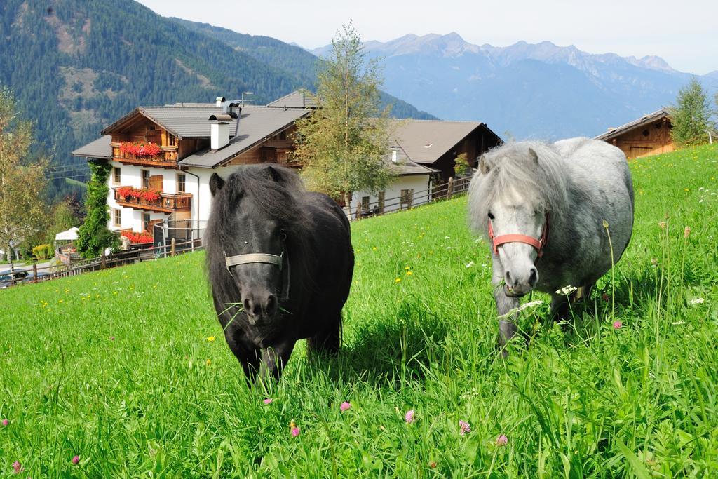 Hotel Kompatscherhof Luson Kültér fotó